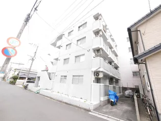 シャトレ紅梅の画像