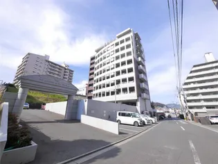 THE SQUARE KOBAI PREMIUMの画像