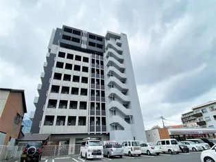 ルークス紅梅の画像