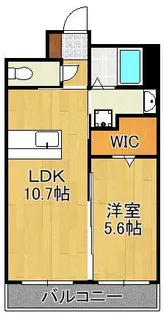 ソシア・若松駅前【1階】の間取り
