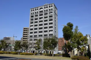 ニューサンリバー8番館【12階】の外観