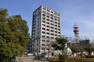 ニューサンリバー8番館【12階】の外観