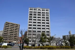 ニューサンリバー8番館【12階】の外観