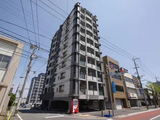 ニューサンリバー10番館【6階】の外観