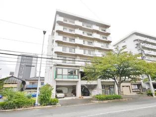 レイ前田の画像