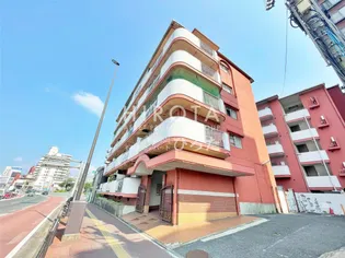 桃園VIPマンション B棟の画像