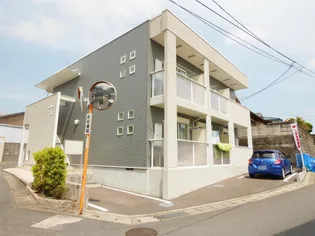 エヴァーグリーンPの画像