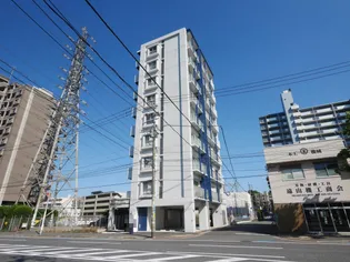 アンテス上到津【8階】の外観