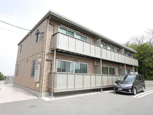 SPRINGHILLTOPの画像