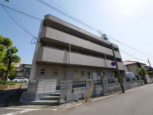 グレイスコート井掘【3階】の外観