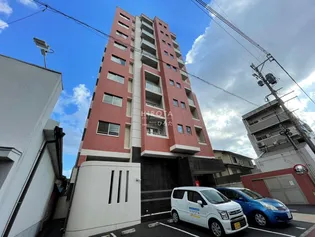 ラファエロの画像