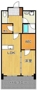アヴィニールグランデ金田【5階】の間取り