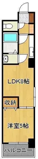 Hamiel真鶴【4階】の間取り