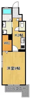 Regina【5階】の間取り
