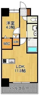 アドヴァンスコート中井【4階】の間取り