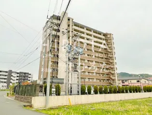 ルシオーレの画像