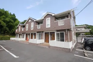 エヴァーグリーンEの画像