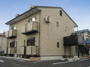 ピソ アイリスの画像