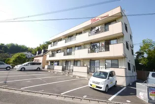 SUN POWERの画像