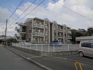 プレステージ環の画像