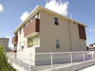 エヴァーグリーンの画像