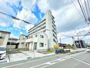 チェリーニ中間の画像