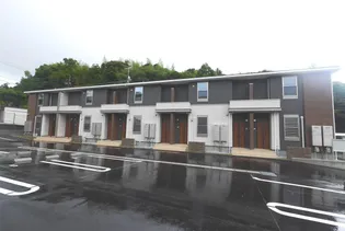 ジャカランダの画像