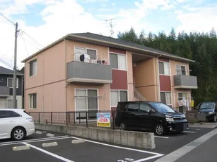 ノールカトレアCの画像