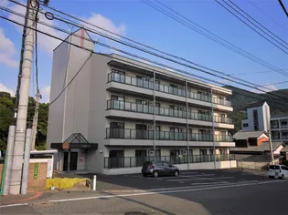 第2サンコスモスの画像