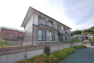 ベラセッテ永犬丸Bの画像