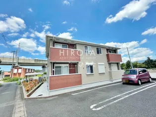 コスモスの画像