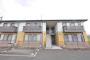 ワンズグレイスの画像