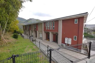 ファインソフトリーの画像