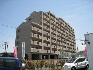 オロマーレ折尾南Ⅰ【10階】の外観