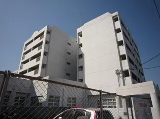 マインド真養の画像