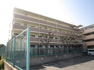 サンローゼ本城【4階】の外観