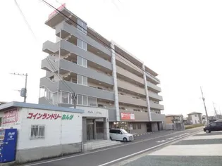 ペットビレッジ KATO【3階】の外観