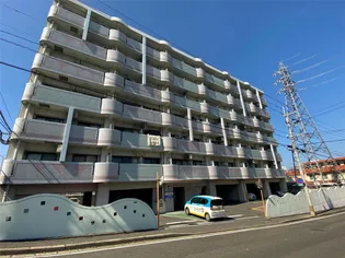 スタディハイツⅢ【7階】の外観