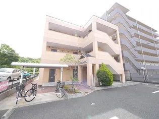 ローズガーデンの画像