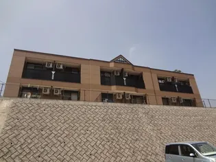 エバーラスティング輝 Bの画像