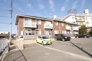 グレイス ピュアの画像