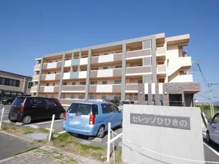 セレッソひびきのの画像