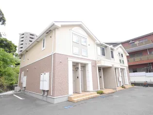 フェリーチェの画像
