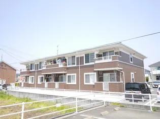 プリムローズBの画像