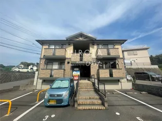 カトル鷹見の画像