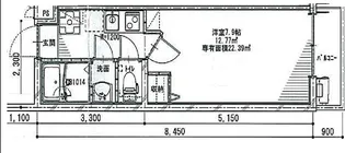 カーサ・フォレスタⅠ【203号室】の間取り