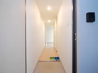 プリシードI【3階】の玄関