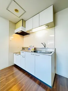 アルトゥパークマンション【7階】のキッチン