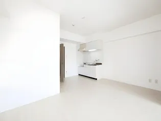 マッシモフェミニール菊水【303号室】の内装