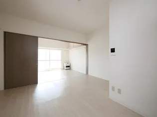 マッシモフェミニール菊水【303号室】のその他画像